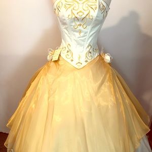Quinceañera/ Prom Dress